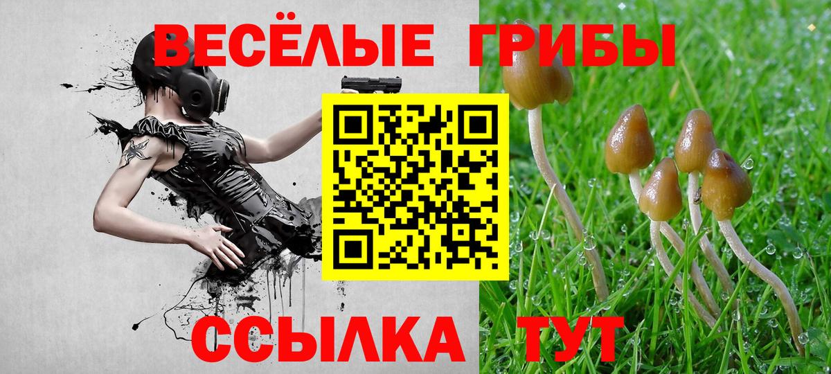 Галлюциногенные грибы мицелий Черкесск