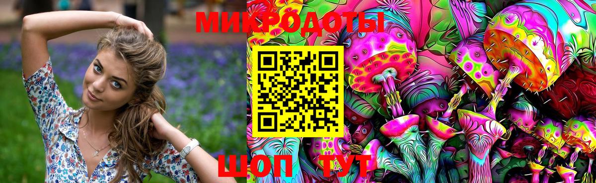 хочу наркоту  Вход с VPN  Черкесск  Псилоцибиновые грибы Psilocybe  Галлюциногенные грибы мицелий 